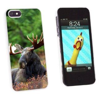 Graphics and More Moose Male Bull Antlers   Snap On Hard Protective Case for Apple iPhone 5/5s   Non Retail Packaging   White Cell Phones & Accessories