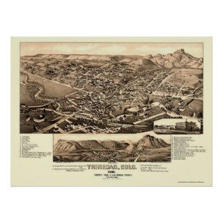 Trinidad, CO Panoramic Map   1882 Poster