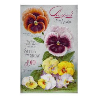 Burpees Seed Catalog, 1910 Pansies Poster