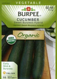 Burpee 60200 Organic Cucumber Garden Sweet Burpless Hybrid Seed Packet  Vegetable Plants  Patio, Lawn & Garden