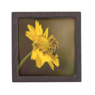 Honeybee on Yellow Flower Premium Trinket Box