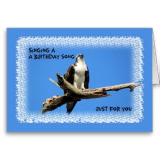 Birthday, Osprey Singing Birthday Song Cards