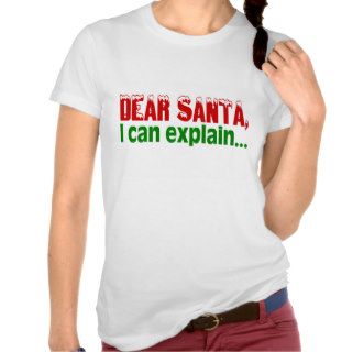 Dear Santa, I Can Explain Tshirt