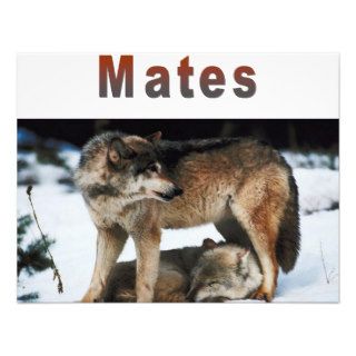 Wolf Mates Line Personalized Announcement