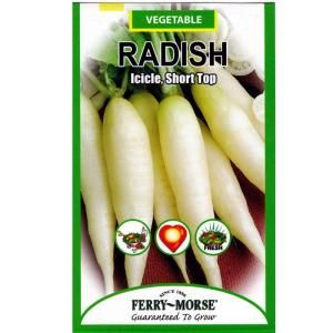 Ferry Morse Radish Icicle Short Top Seed 1352