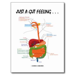 Just A Gut Feeling(Digestive System Humor) Post Card