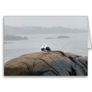 Seagulls in Kennebunkport, Maine Greeting Card