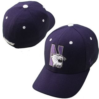 Zephyr Northwestern Wildcats DHS Hat   Size 7 5/8, Northwestern Wildcats
