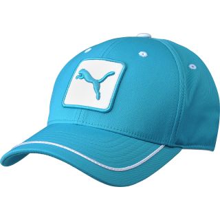 PUMA Mens Monoline 2.0 Relaxed Fit Golf Cap, Grey/blue