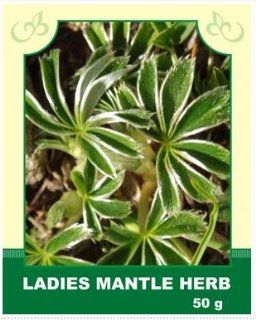 Ladies Mantle Herb 50g/1.8oz 