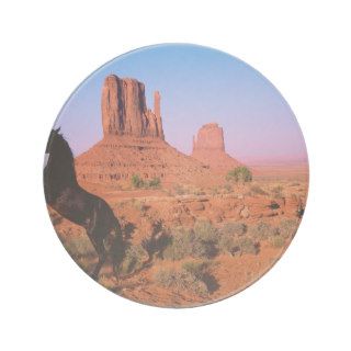 Horses Graceful Power Monument Valley Coaster