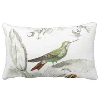 Vintage Hummingbird Illustration   1800's Birds Throw Pillows