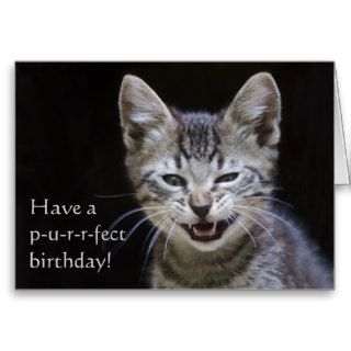 Tabby Kitten Happy Birthday Greeting Cards