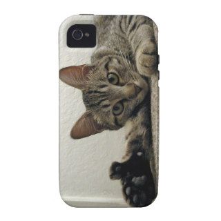 Polydactyl Kitty Cat MIRA gives THUMBS UP  ^^ iPhone 4/4S Covers