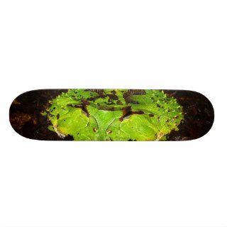 Surinam Horned Frog Ceratophrys Cornuta Skateboard