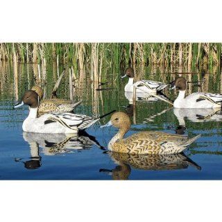 Dakota Decoys X Treme Pintail Floaters Floating Duck Decoys 12pk 13150  Hunting Decoys  Sports & Outdoors