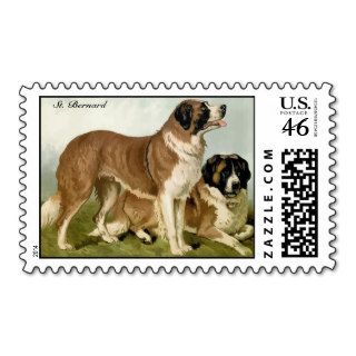 St. Bernard (2), High Quality dog drawing Stamp