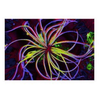 Fluorescent Sea Anemone Print