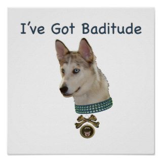 Ausky Dog with Baditude Print