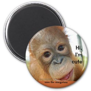 Hi Cute Baby Orangutan Magnet