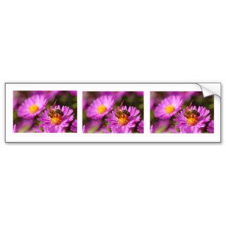 Honey bee and pollination bumper stickers
