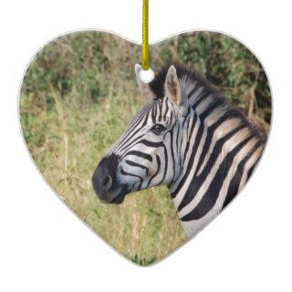 Zebra Stripes Animal African Safari Destiny Ornaments