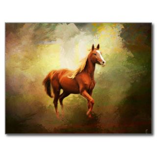 Arabian Horse Landscape Post Card