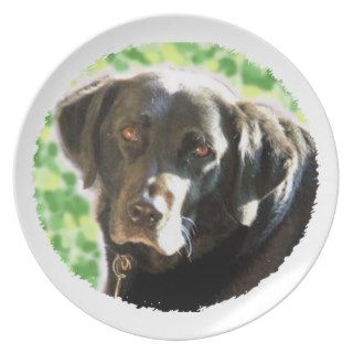 Old Black Labrador Photo Gifts you can personalise Dinner Plates