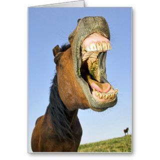 Laughing Horse Birthday Card