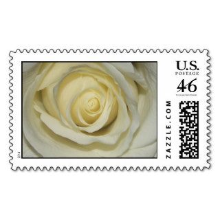 Simply Cream Rose Postage Stamp