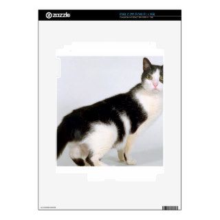 Cat Did You Say Tuna Shorthair Decals For iPad 2