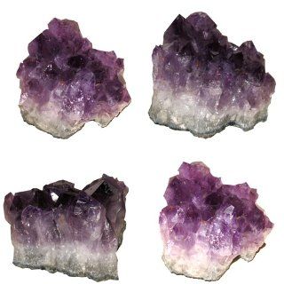 Crystal Allies TM Specimens Natural Amethyst Quartz Crystal Cluster from Uruguay   1lb to 2lbs   Purple Crystal Rose