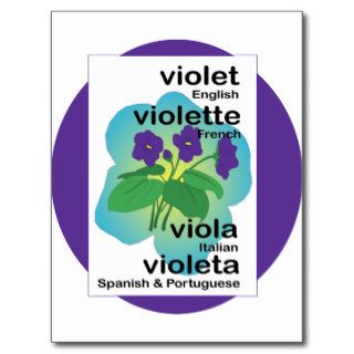 Violet in Many Languages Postcard