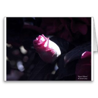 The Rose of Sharon Greeting Cards