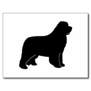 Newfoundland dog silhouette postcard