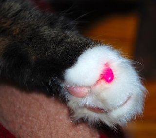 Cute Claws Cat Nail Caps (Pink, Medium (9 13 lbs))  Nail Caps For Cats 