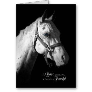 Pet Sympathy Loss of a Horse Card