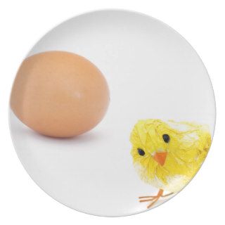 what came first the chicken or the egg? dinner plate