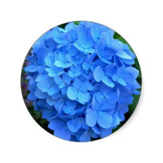 Blue Hydrangea Sticker