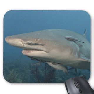 Lemon shark pose mouse pads
