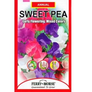 Ferry Morse 3 grams Sweet Pea Early Flowering Mixed Colors Seed 1158