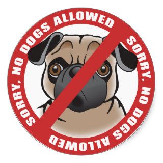 No Dogs Allowed Round Stickers