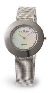 Skagen Women's 569STT Titanium Mesh Watch at  Women's Watch store.