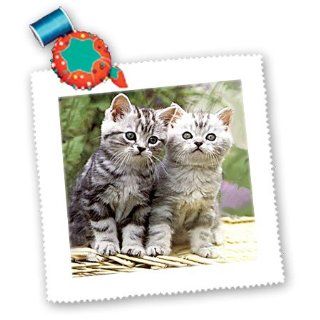 qs_570_1 Cats   Two Kittens   Quilt Squares   10x10 inch quilt square
