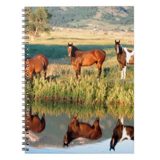 Horse Meeting At Watering Hole Journals