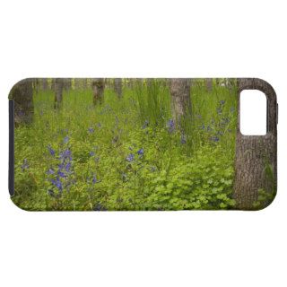USA, Oregon, Salem, Wildflowers among oak trees iPhone 5 Cover