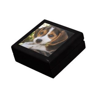 Puppy Dog Beagle Jewelry Box