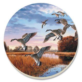 CounterArt Daybreak Descent Absorbent Coasters, Set of 4 Kitchen & Dining