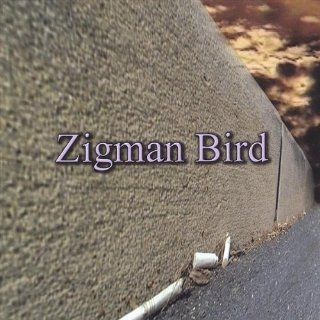 Zigman Bird Music