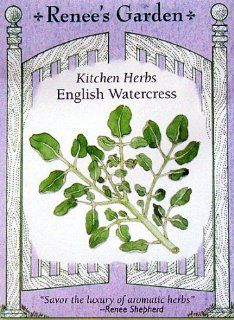 Watercress, English  Cress Plants  Patio, Lawn & Garden